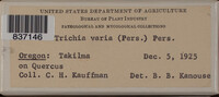 Image Associated With the Occurence